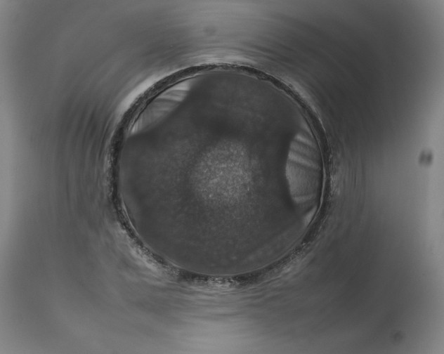 X0000112470975200909071129