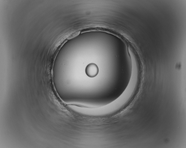 X0000112470977200909071129