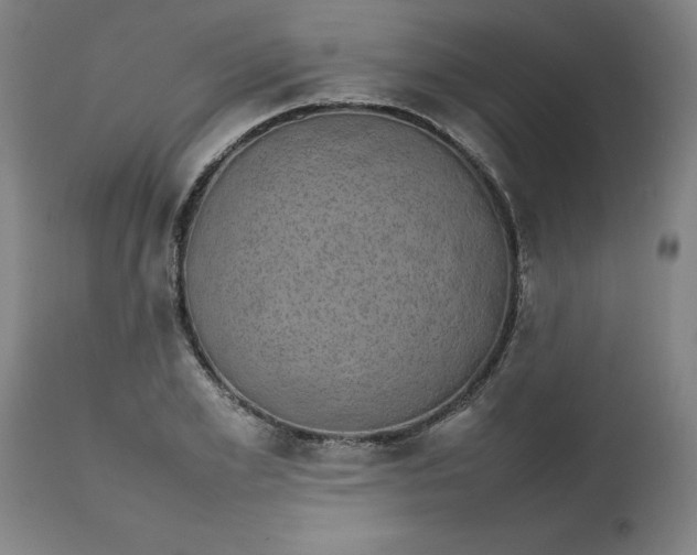 X0000112470981200909071129