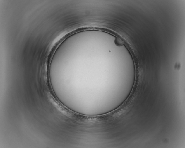 X0000112470982200909071129