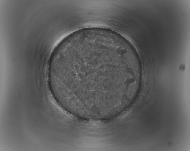 X0000112470983200909071129