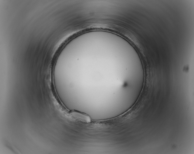 X0000112470984200909071129