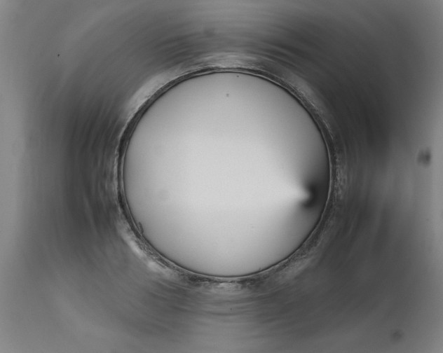 X0000112470986200909071129