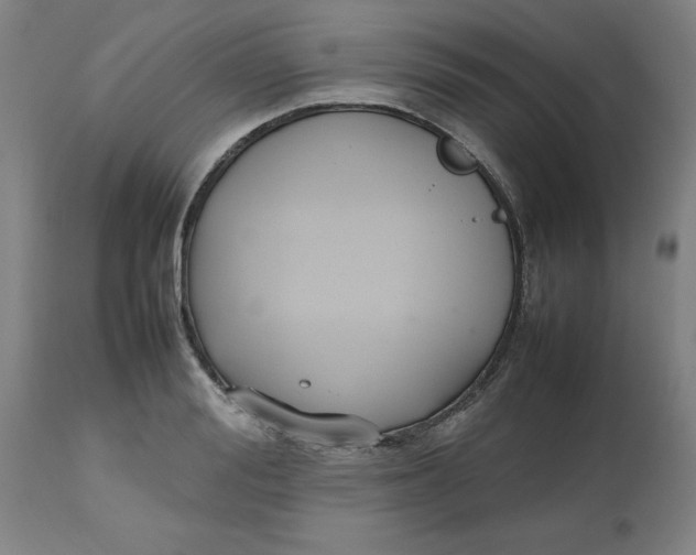 X0000112470988200909071129