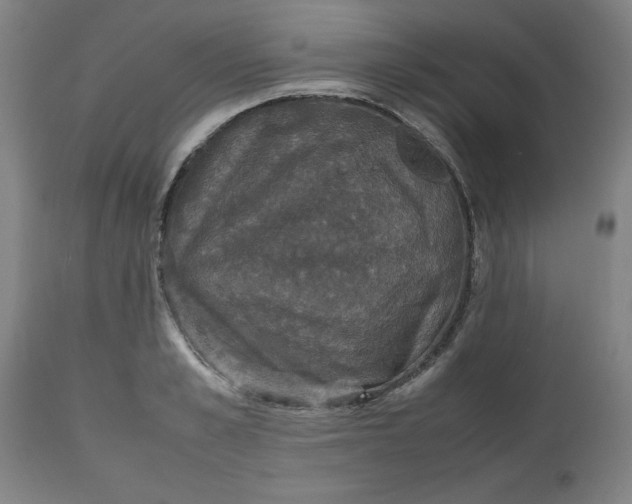 X0000112470989200909071129