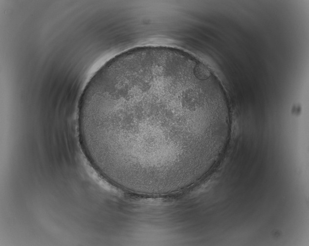 X0000112470990200909071129