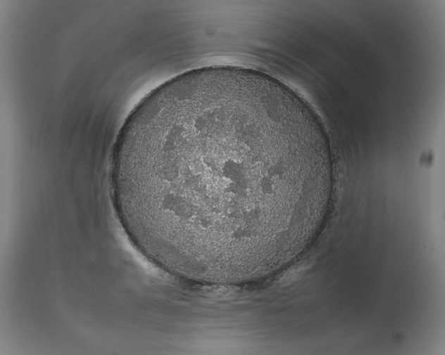 X0000112470991200909071129