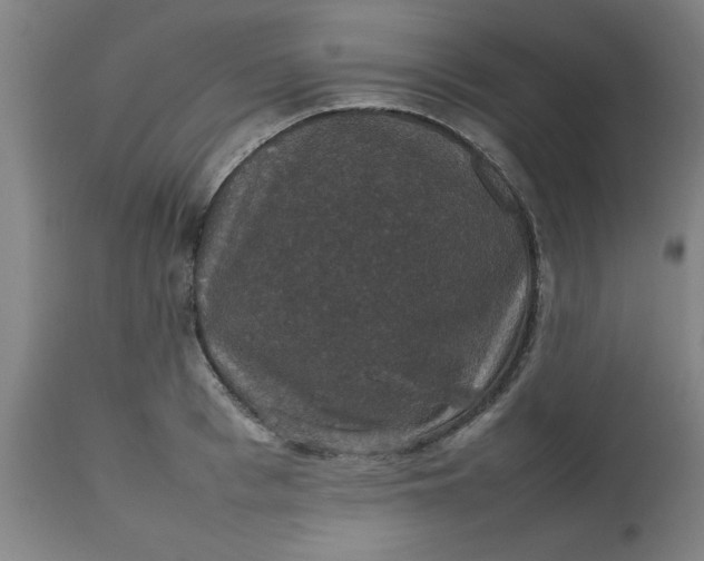 X0000112470993200909071129