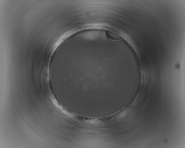 X0000112470994200909071129