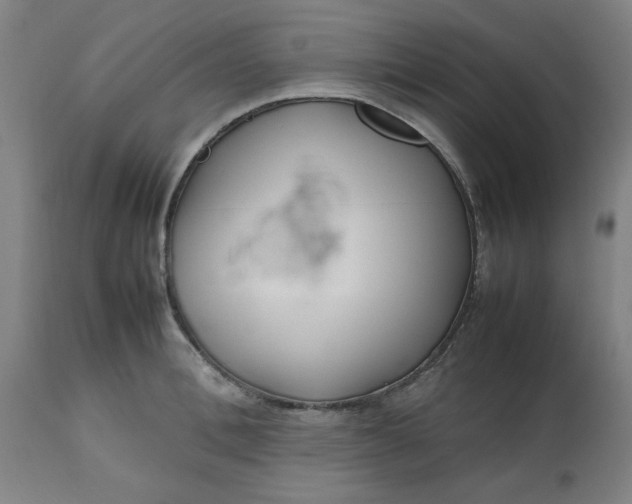 X0000112470996200909071129