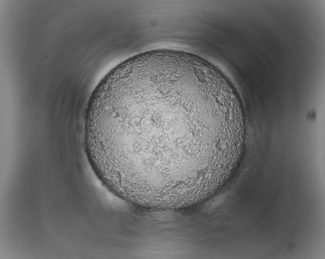 X0000112470999200909071129