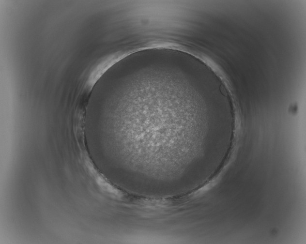 X0000112471001200909071129