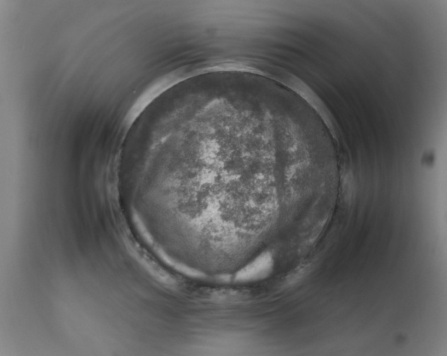 X0000112471002200909071129