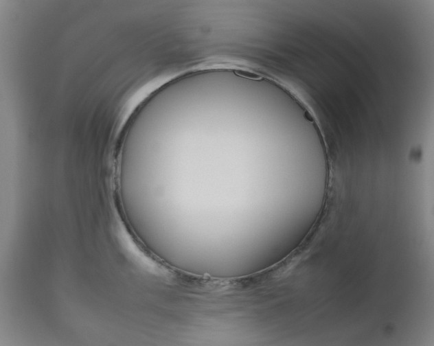 X0000112471003200909071129