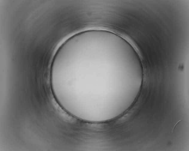 X0000112471004200909071129