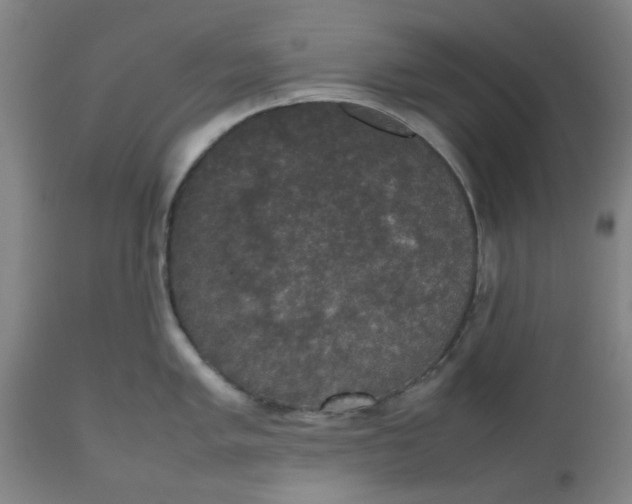 X0000112471005200909071129