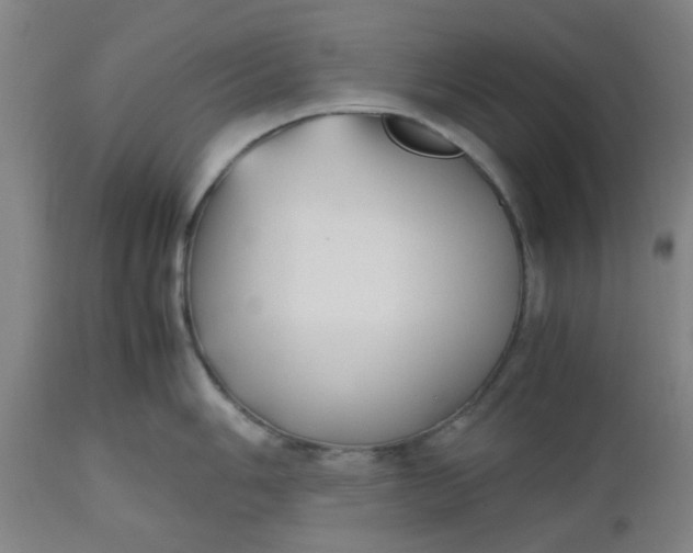 X0000112471006200909071129