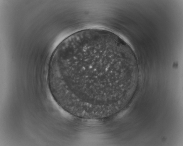 X0000112471007200909071129