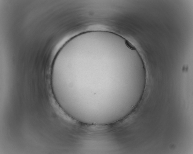 X0000112471008200909071129