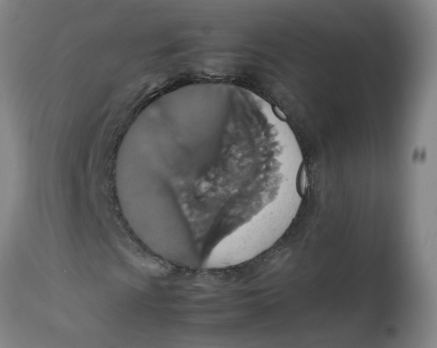 X0000112471009200909071128