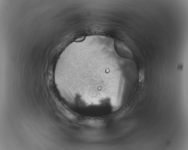 X0000112471011200909071128