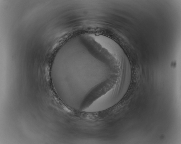 X0000112471013200909071128