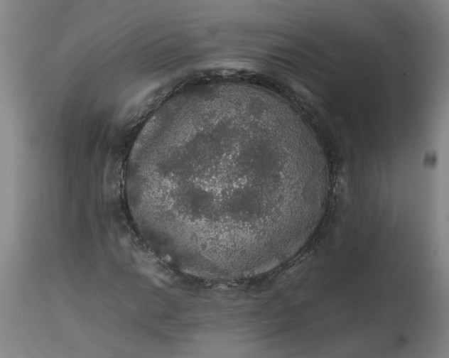 X0000112471014200909071128