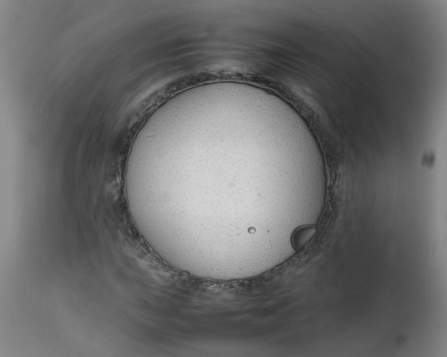 X0000112471015200909071128