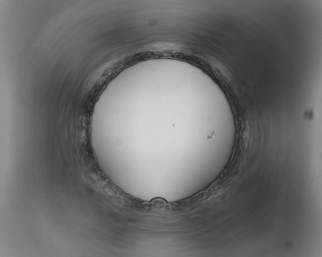 X0000112471016200909071128