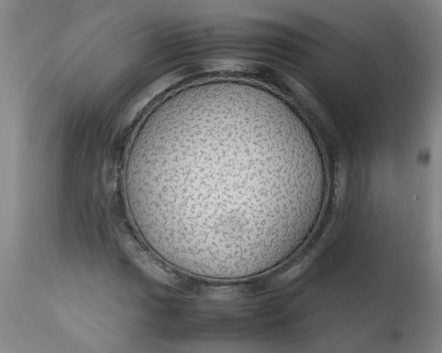 X0000112471017200909071128