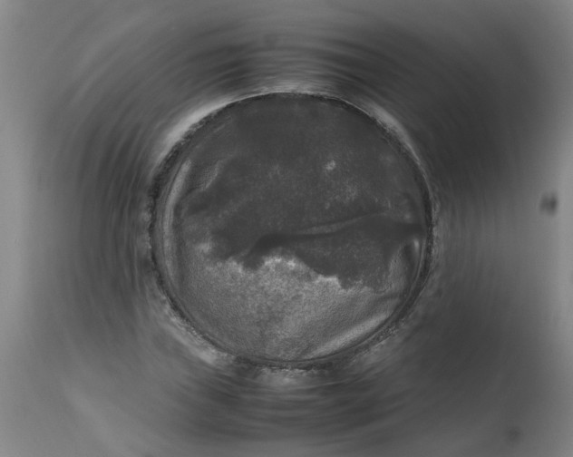 X0000112471019200909071128