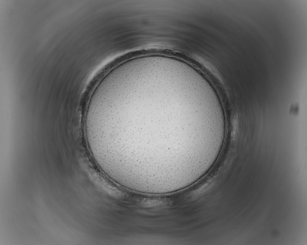 X0000112471021200909071128