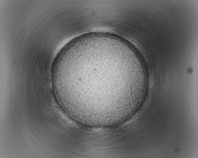 X0000112471022200909071128