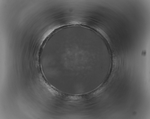 X0000112471023200909071128