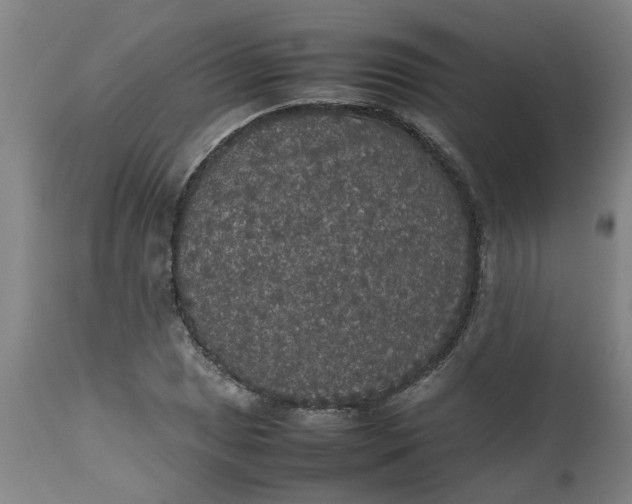 X0000112471025200909071128