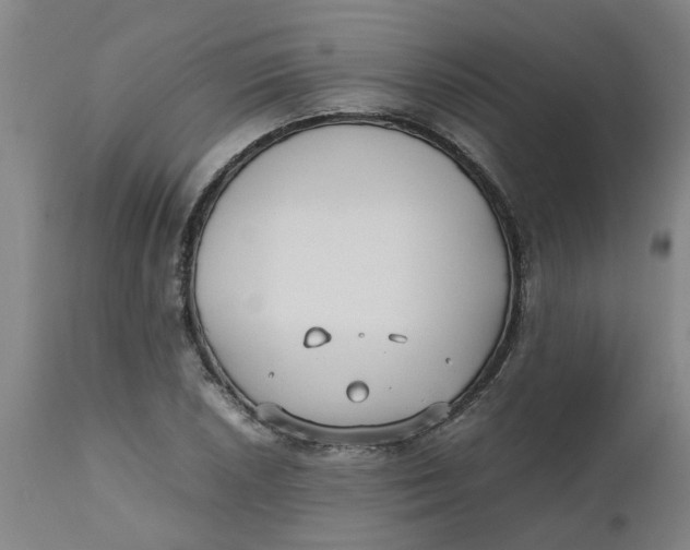 X0000112471026200909071128