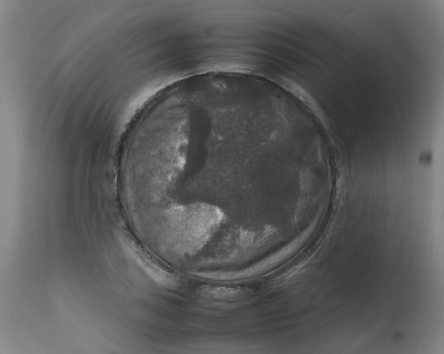 X0000112471027200909071128