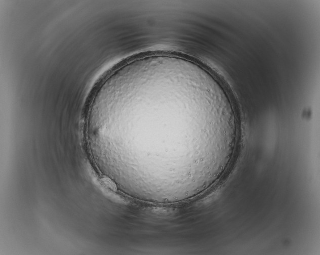 X0000112471029200909071128