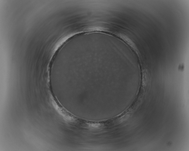 X0000112471031200909071128