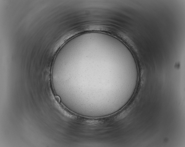 X0000112471033200909071128