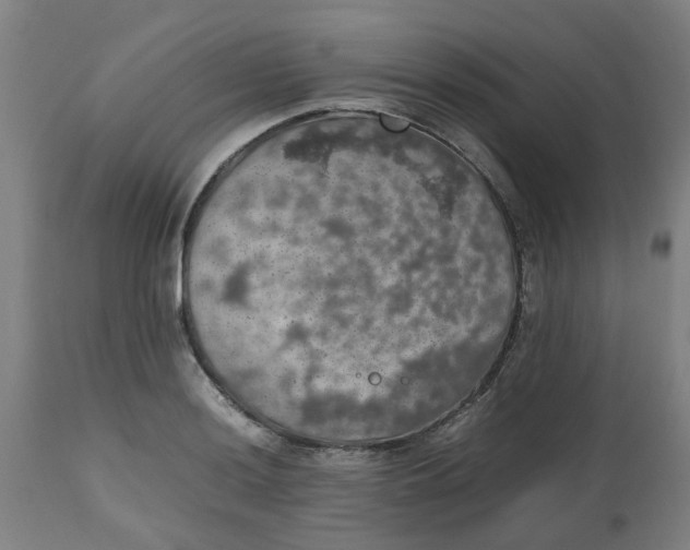 X0000112471036200909071128