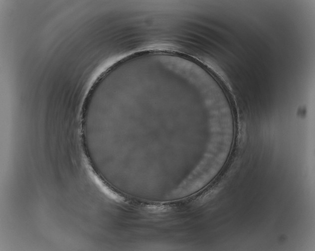 X0000112471037200909071128