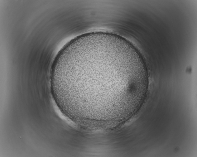 X0000112471038200909071128