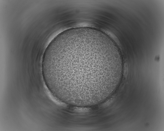 X0000112471039200909071128