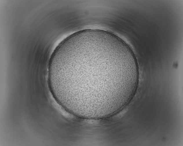 X0000112471040200909071128