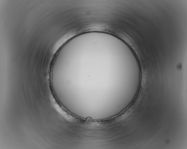 X0000112471042200909071128