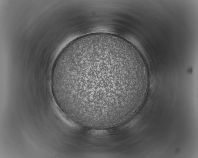 X0000112471043200909071128