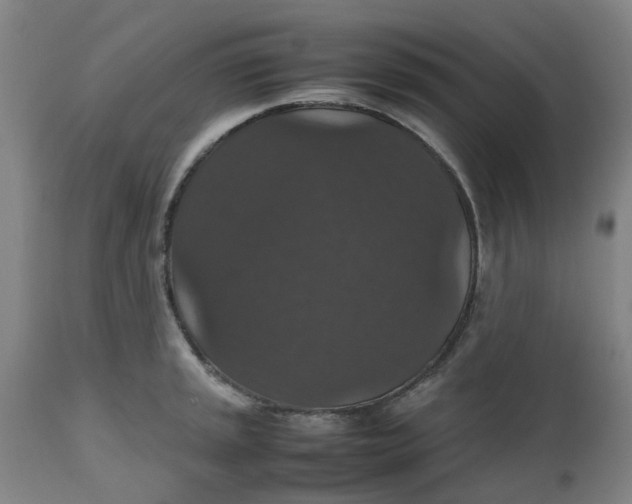 X0000112471045200909071128