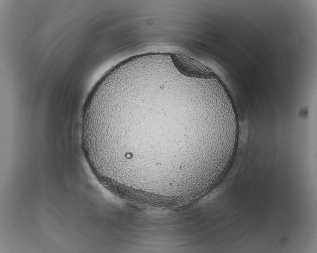 X0000112471046200909071128