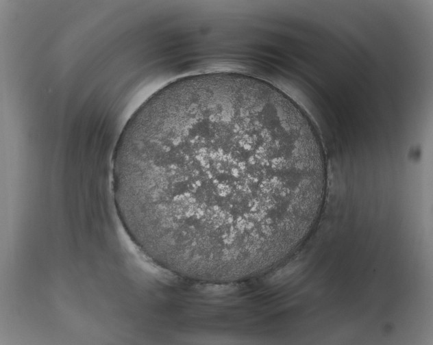 X0000112471047200909071128